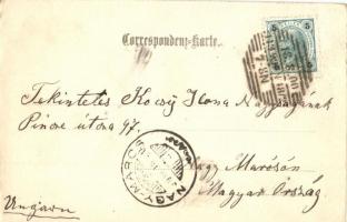 1900 Vienna, Wien XVIII. Gersthof, Pfarrkirche zum heil. Leopold / church. Fr. Schöler 340. (EK)