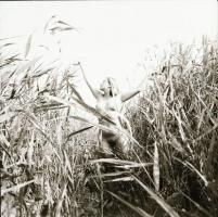 cca 1986 Velencei-tó, a nádasoknak rejtekén, 9 db vintage negatív, 6x6 cm