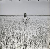 cca 1986 Velencei-tó, a nádasoknak rejtekén, 9 db vintage negatív, 6x6 cm