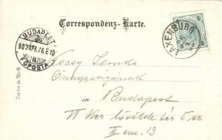 1900 Laxenburg, K. k. Lustschloss Laxenburg: Franzensburg. Verlag Friedrich Stöckler / Franzensburg ...