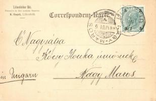 1901 Lilienfeld, general view. Verlag v. K. Engel (EK)