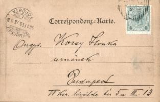 1900 Vienna, Wien I. Opernring, Totalansicht / street view, trams. H. Kölz Nr. 65