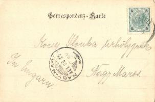 1901 Mariazell, Pilgrimage church, shops, guest house, inn. O. Schleich Nachf. (EK)