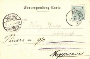 1900 Mariazell, Pilgrimage church. O. Schleich Nachf. (EK)