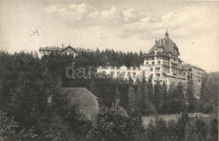 Semmering, Südbahnhotel mit Waldhof. G. K. E. No. 3. / hotel (EK)