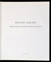 Kicsiny Balázs: Munkavégzés folyamatban. Bp., 2002, Ludwig Múzeum. Kiadói kartonált papírkötés, magy...