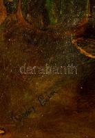 Kondor jelzéssel: Mesevilág. Olaj, karton, fém keretben, 44×70 cm