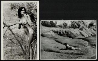 cca 1980 Szolidan erotikus felvételek, 4 db vintage fotóművészeti alkotás, 24x18 cm és 14x9 cm közöt...