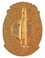 DN "Széchényi Gimnázium Budapest" aranyozott, zománcozott jelvény (~18x25mm) T:1,1-