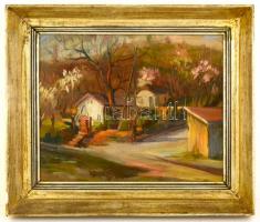 Haraszti Pál (1913-?): Pécs Deindol. Olaj, karton, jelzett, üvegezett keretben, 34×42 cm