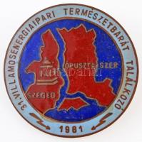1981. 31. Villamosenergia ipari Természetbarát Találkozó zománcozott fém jelvény (38,5mm) T:2