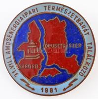 1981. "31. Villamosenergia ipari Természetbarát Találkozó" zománcozott fém jelvény (38,5mm) T:2