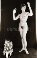 cca 1973 Válogatás az első portfóliók időszakából, szolidan erotikus felvételek, 28 db vintage negat...