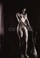 cca 1970 Szép leányok mindent megmutatnak, szolidan erotikus felvételek, 33 db vintage negatív, 24x3...