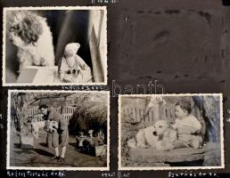 cca 1940-1944 Ferdinkó Béla fotós által készített fényképek, kb 100 db nagyrészt állatfénykép és cse...