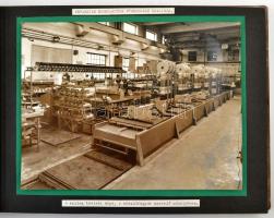 1960. augusztus, a Villamosgép- és Kábelgyár termékei, üzemcsarnokai, dolgozói, 31 db vintage fotó, albumlapokra ragasztva, képaláírásokkal, 18x24 cm