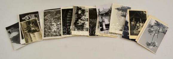 cca 1930-1940 között készült felvételek, cca 400 db vintage (jellemzően üveglemez) negatív és/vagy p...