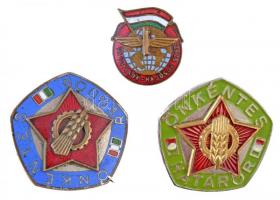 ~1970-1980. 3db-os jelvény tétel a szocialista időszakból, benne "Önkéntes Rendőr", "Önkéntes Határőr" és "Vasutasok-Hajósok Sz. Sz." T:2,2-