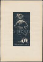 1937 Menyhárt József fametszet könyvjegyei. Dr. berei Soó Rezső egyetemi ny. r. tanár bevezetésével....