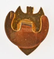 DN "Valencia CF" zománcozott fém gomblyukjelvény (15x17mm) T:1-