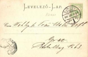 1900 Sopron, Oedenburg; Széchenyi tér, Városház tér, Szentháromság szobor, Izraelita templom, zsinag...