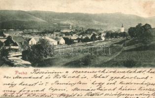 1902 Puhó, Puchó, Púchov; látkép a vasúti sínnel / general view with the railway tracks
