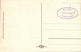 Nagyszombat, Tyrnau, Trnava; Ferenc József tér, Szentháromság szobor, gyógyszertár, üzletek, kút. Há...