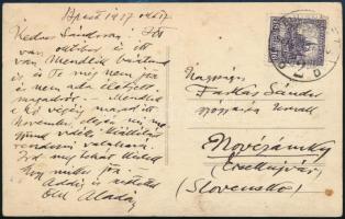 1927 Edvi Illés Aladár (1870-1958) festő saját kézzel írt levelezőlapja Farkas Sándor (?-?) érsekújvári gyógyszerész részére látogatásával kapcsolatban