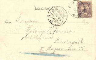 1900 Zirc, Apátság. Art Nouveau, floral (EK)