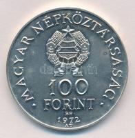 1972. 100Ft Ag "Budapest" T:BU 
Adamo EM40