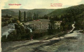 Boksánbánya, Németbogsán, Bocsa; út a kutacskához, kiadja Adolf Rosner / street, forest, leporellóból kivágva