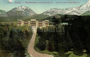 1912 Tátraszéplak, Weszterheim, Tatranska Polianka; szanatórium, Ferenc József csúcs. Feitzinger Ede No. 1070. / sanatorium, mountain peak