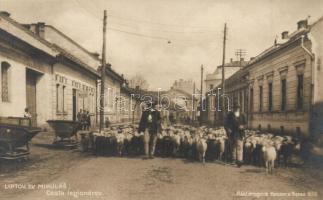 Liptószentmiklós, Liptovsky Mikulas; utcakép, juhokat terelő juhászokkal / Cesta legionárov / street view with a flock of sheep and shepherds. Kocour a Beran 639.
