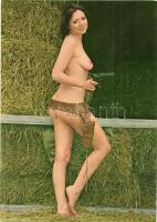 10 db modern erotikus hölgyek képeslap / 10 modern erotic ladies postcards