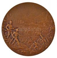 Osztrák-Magyar Monarchia ~1914. "Ferenc József és II. Vilmos" Br emlékérem (49mm) T:2
Aus...