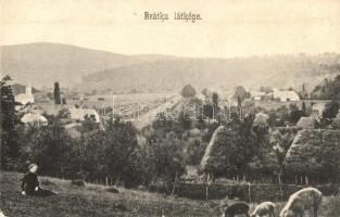 18 db RÉGI felvidéki városképes lap / 18 pre-1945 Upper-Hungarian town-view postcards
