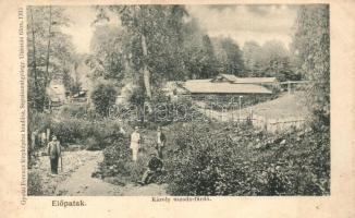 Előpatak, Valcele; Károly uszoda fürdő. Gyulai Ferencz fényképész kiadása 1906. / swimming pool, spa (EK)