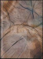 G. Levenfis-V. Szmiszlov: A bástyavégjátékok elmélete. Bp.,1961, Sport. Átkötött papírkötés. Megjele...