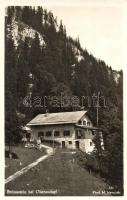 Oberaudorf, Brünnstein / mountain, house
