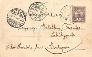 1901 Petrozsény, Petrosani; Fő utca, üzletek. Joánovits és Sternád kiadása / main street, shops