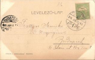 1905 Temesvár, Timisoara; Andrássy út / street view  (EK)