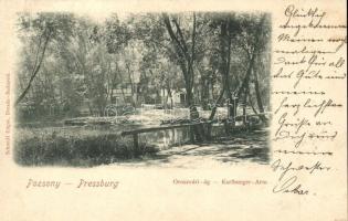 1898 Pozsony, Pressburg, Bratislava; Oroszvári-ág / Karlburger-Arm / Rusovce river branch (lyuk / hole)