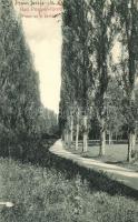 Pöstyén, Pistyan, Piestany; Fasor az új parkban / tree alley in the new park (szakadás / tear)