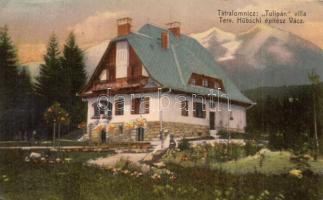 Tátralomnic, Tatranská Lomnica; Tulipán villa. Tervezte Hübschl építész / villa (EK)