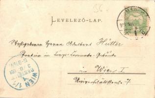 1901 Komárom, Komárno; Nádor utca, üzletek, bor és sörmérés. Spitzer Sándor kiadása / street view, s...