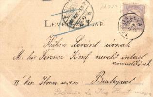 1900 Sajószárnya, Sztárnya, Starna (Tornalja, Tornala); Radvánszky kastély / castle (vágott / cut)