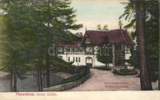 Thurzófüred, Kupele Turzo (Gölnicbánya, Gelnica); Igazgatósági épület / Direktionsgebäude / directorates building, office (EK)