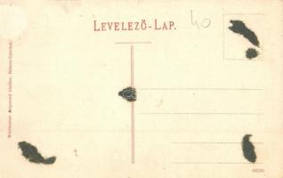 Kékkő, Blauenstein, Modry Kamen; vár. Wertheimer Zsigmond kiadása / Hrad / castle (Rb)