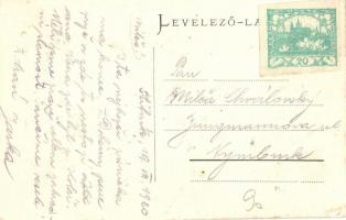 Dobsina, Dobschau, Dobsiná; fűrésztelep és villanytelep / sawmill, electric power plant (EK)