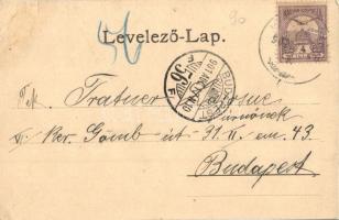 1901 Zólyombrézó, Podbrezová; Tiszti lakok és szálloda, iparvasút, vagonok / officers' houses, ...